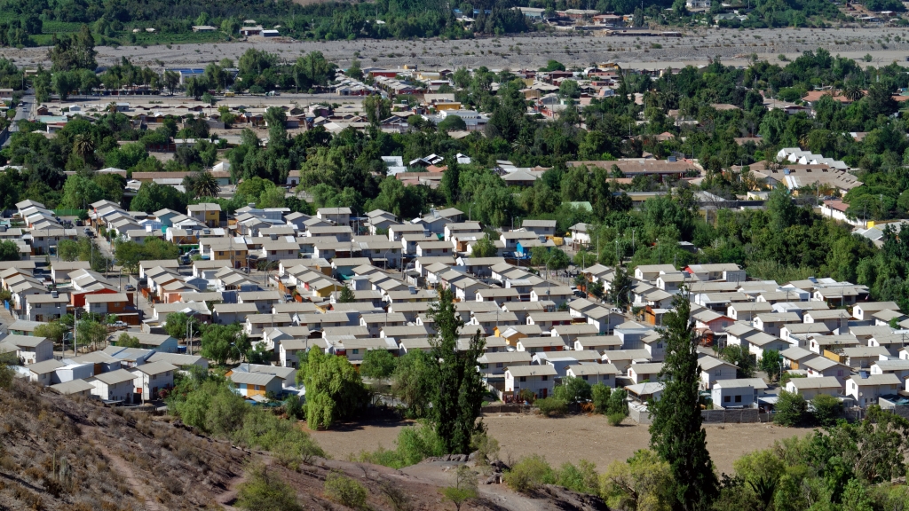 03 - La Serena (26) - Vicuña.jpg